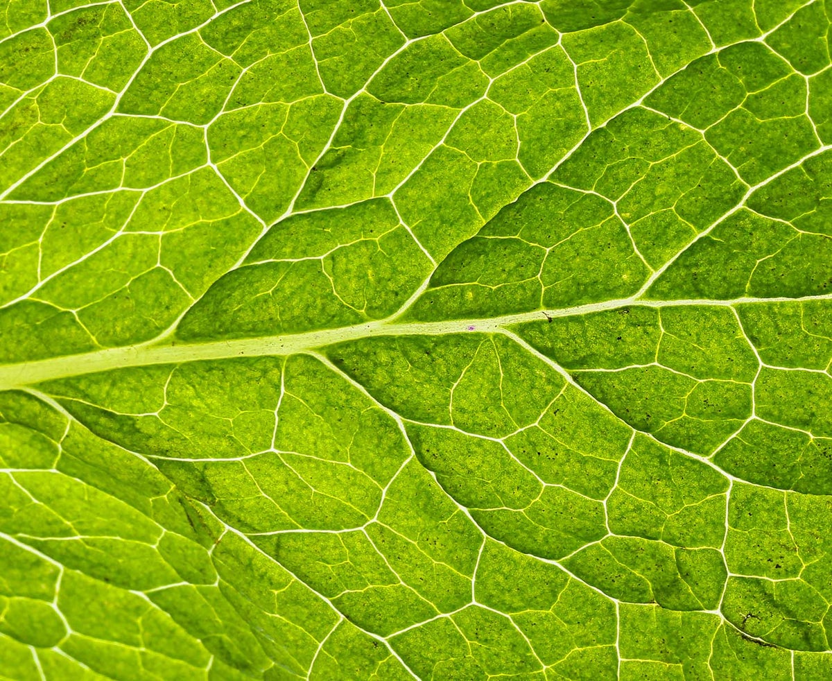 ISO14001 certificaat - Holbox ISO14001 certificaat - Holbox