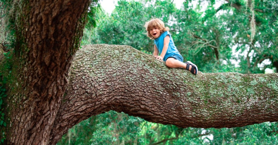 Holbox - Duurzame grondstoffen Holbox - Duurzame grondstoffen