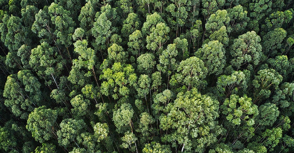 Duurzaamheid bij Holbox Duurzaamheid bij Holbox